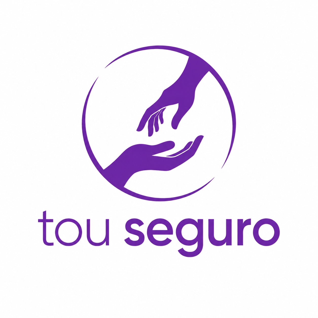 Tou Seguro